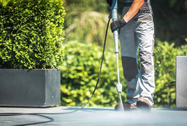 Best Patio and Deck Pressure Washing  in Walnut Grove, CA